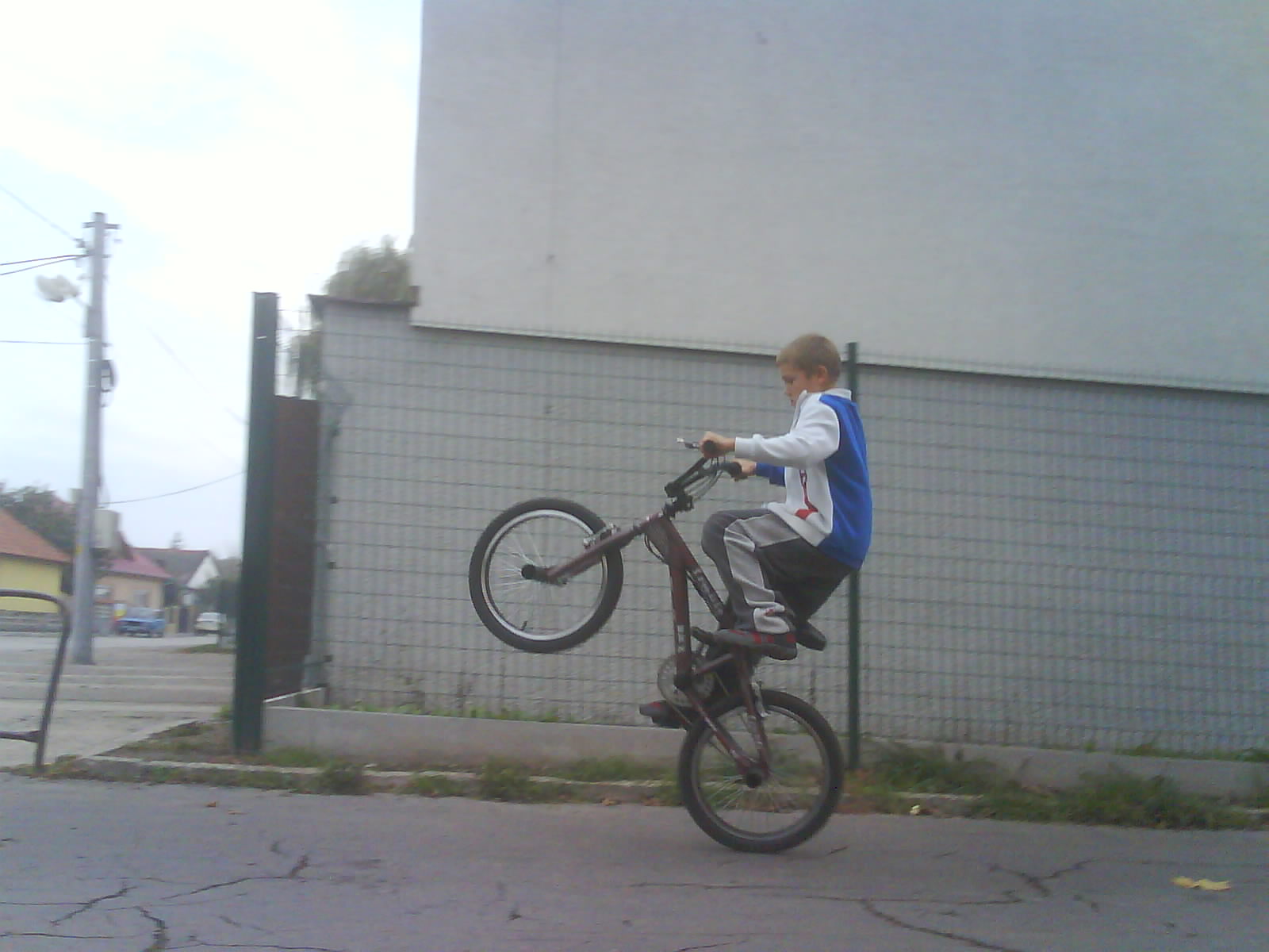 Bobova koliska.JPG