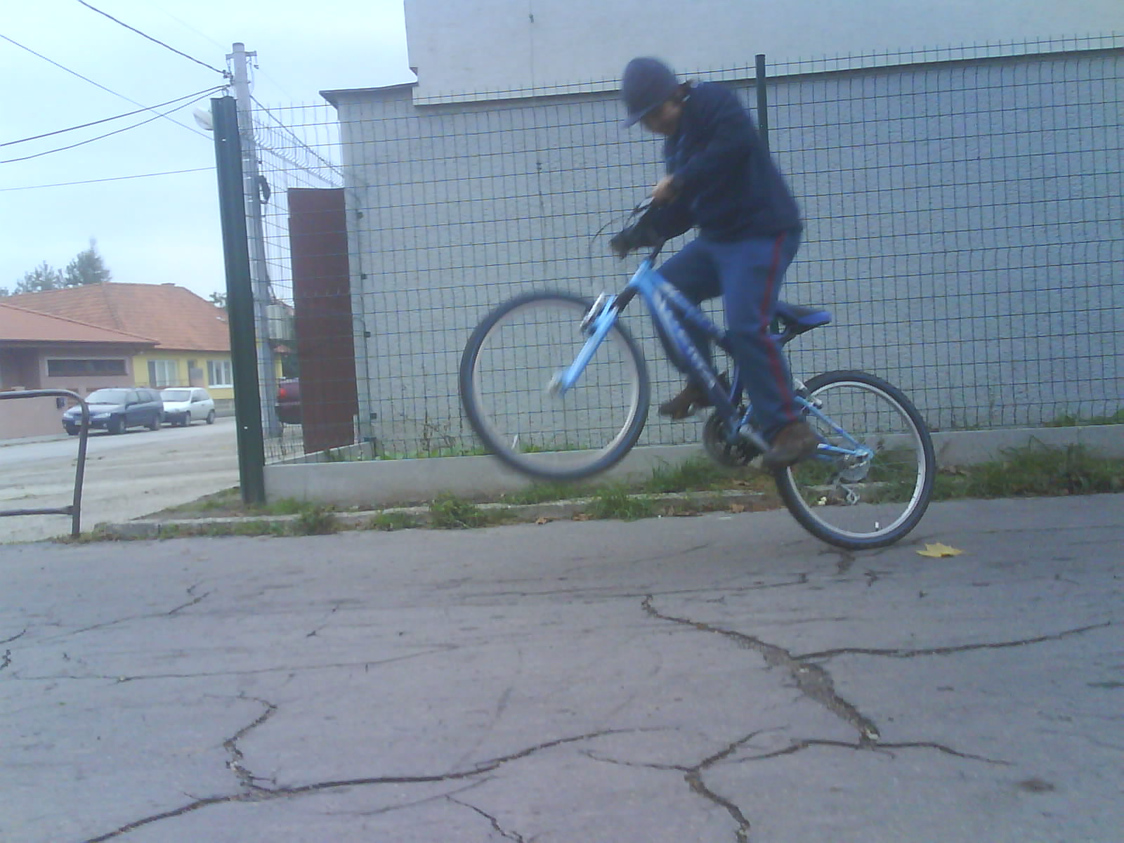 Naj good photo.JPG